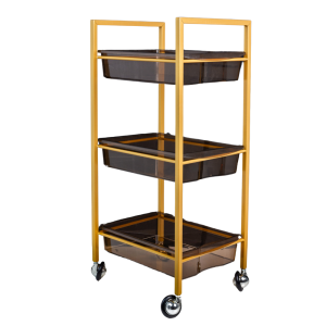 Ucenic pentru salon cu 3 rafturi - Elegant MZT-868-193