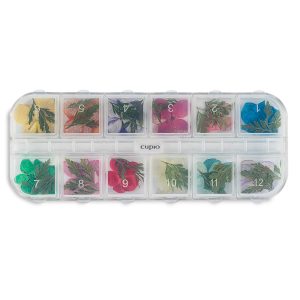 Flori naturale set 12 Bloom