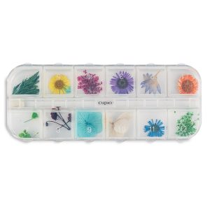 Flori naturale set 12 Way Out