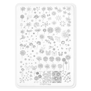 Matrita stampila Cupio R07