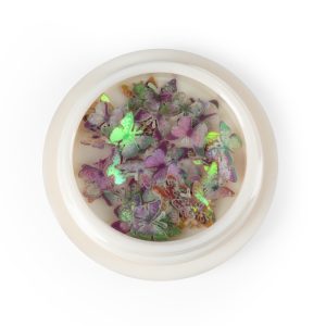 Ornamente unghii Champion