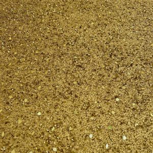 Dantela Auriu Antic Haute Couture, cu Oglinzi