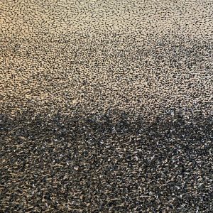 Cupon 1.56 m - Dantela Neagra Haute Couture