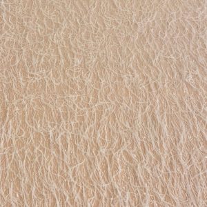 Dantela Ivory cu Pene si Paiete